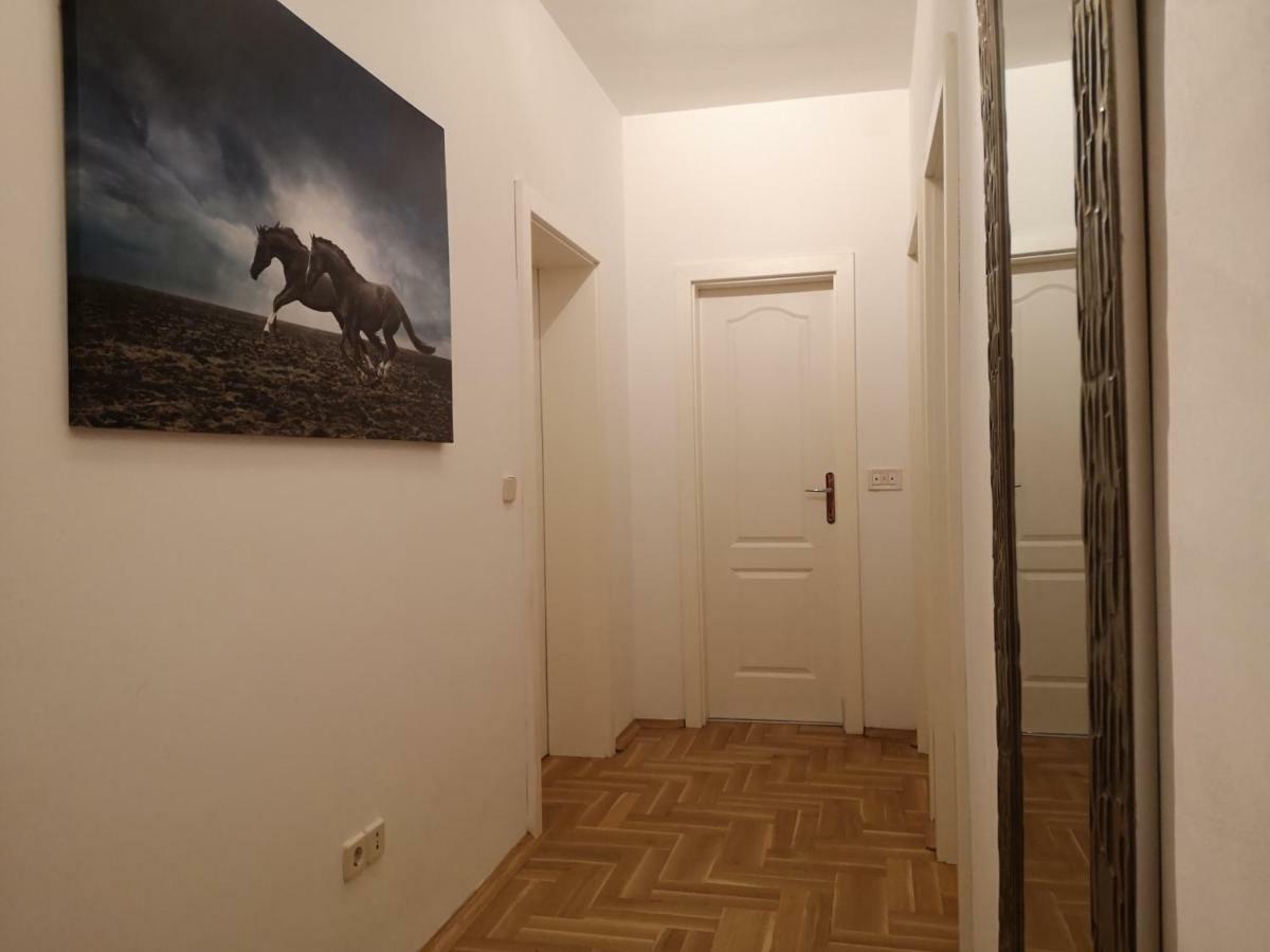 Suite Vigo מדולין מראה חיצוני תמונה